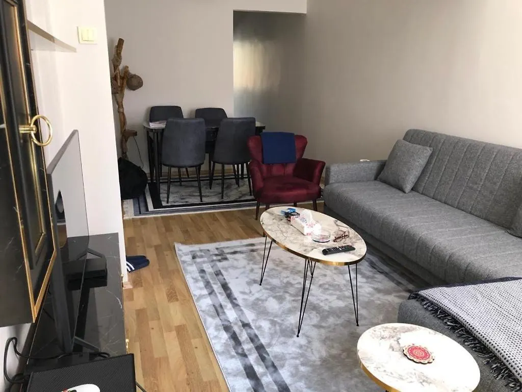Besiktas Apartment Istanbul Turkey